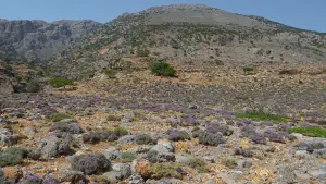 Agios Antonios Cave  - CRETE