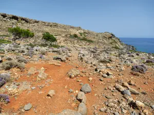 Agios Antonios Cave  - CRETE