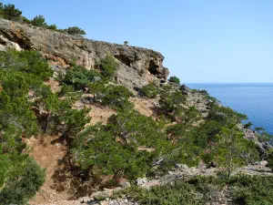 Agios Antonios Cave  - CRETE