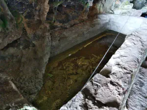 Agios Antonios Cave  - CRETE