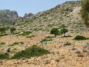 Agios Ioannis  - CRETE