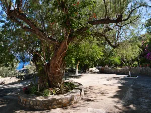 Agios Nikitas Monastery  - CRETE