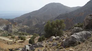 Agios Savva Gorge  - CRETE