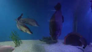 Aquaworld Aquarium and Reptile Rescue Centre  - CRETE