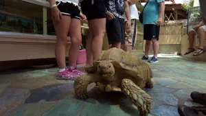 Aquaworld Aquarium and Reptile Rescue Centre  - CRETE