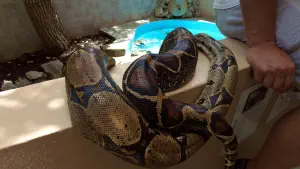 Aquaworld Aquarium and Reptile Rescue Centre  - CRETE