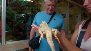 Aquaworld Aquarium and Reptile Rescue Centre  - CRETE
