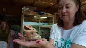 Aquaworld Aquarium and Reptile Rescue Centre  - CRETE
