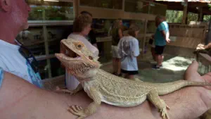 Aquaworld Aquarium and Reptile Rescue Centre  - CRETE