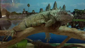 Aquaworld Aquarium and Reptile Rescue Centre  - CRETE