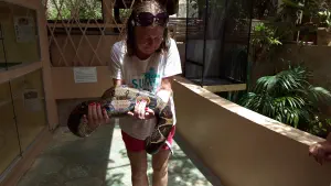 Aquaworld Aquarium and Reptile Rescue Centre  - CRETE