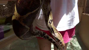 Aquaworld Aquarium and Reptile Rescue Centre  - CRETE