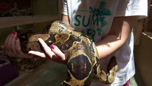 Aquaworld Aquarium and Reptile Rescue Centre  - CRETE