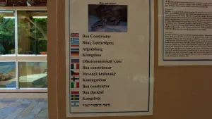 Aquaworld Aquarium and Reptile Rescue Centre  - CRETE