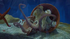 Aquaworld Aquarium and Reptile Rescue Centre  - CRETE