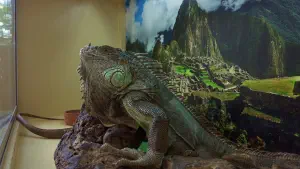 Aquaworld Aquarium and Reptile Rescue Centre  - CRETE