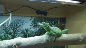 Aquaworld Aquarium and Reptile Rescue Centre  - CRETE