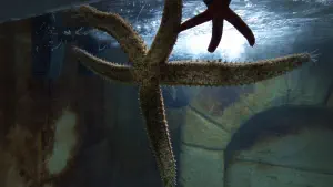 Aquaworld Aquarium and Reptile Rescue Centre  - CRETE