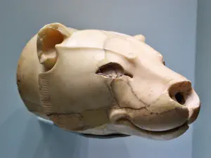 Archaeological Museum Heraklion  - CRETE