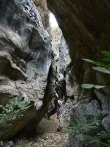 Arvi Gorge  - CRETE
