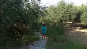 Astrakiano Gorge  - CRETE