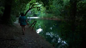 Astrakiano Gorge  - CRETE