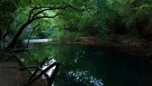 Astrakiano Gorge  - CRETE