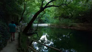 Astrakiano Gorge  - CRETE