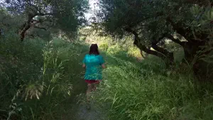 Astrakiano Gorge  - CRETE