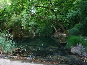 Astrakiano Gorge  - CRETE