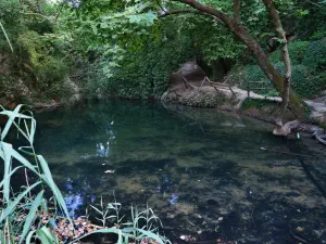 Astrakiano Gorge  - CRETE
