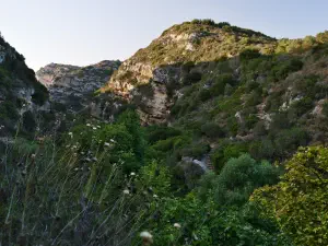 Astrakiano Gorge  - CRETE