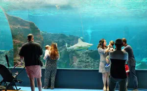 Cretaquarium  - CRETE