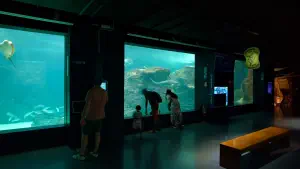 Cretaquarium  - CRETE