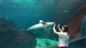 Cretaquarium  - CRETE