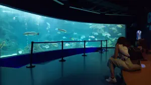 Cretaquarium  - CRETE