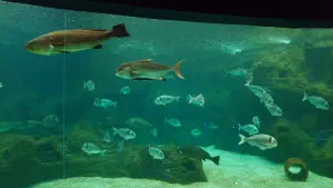 Cretaquarium  - CRETE
