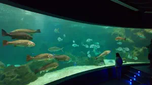 Cretaquarium  - CRETE