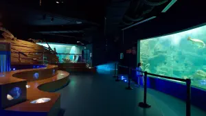 Cretaquarium  - CRETE