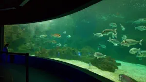 Cretaquarium  - CRETE