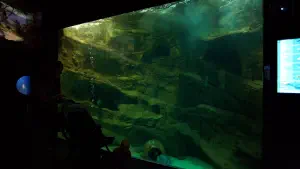 Cretaquarium  - CRETE