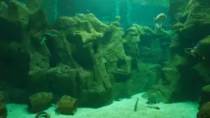 Cretaquarium  - CRETE