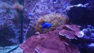 Cretaquarium  - CRETE