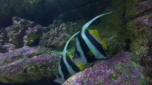 Cretaquarium  - CRETE