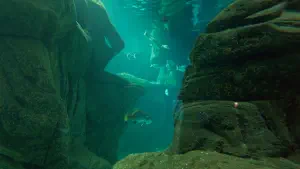 Cretaquarium  - CRETE