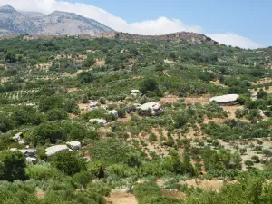 Gria’s Pies Prinianos Charakia  - CRETE