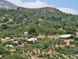 Gria’s Pies Prinianos Charakia  - CRETE