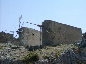 Homo Sapiens Museum  - CRETE