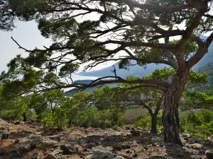 Koudouma Monastery  - CRETE