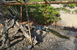 Koudouma Monastery  - CRETE